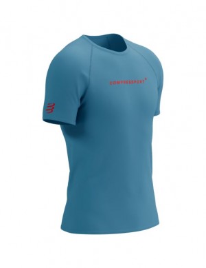 Compressport Training SS Logo Tshirt M Hardloopshirts Heren Blauw | SXAFM-2687